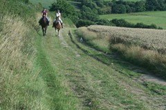 27. Riding on the farm