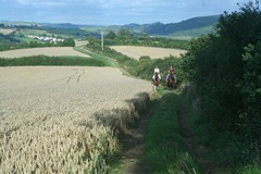 28. Riding by wheat field