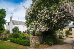 3. Hollamoor Farm B&B and Converted Barns