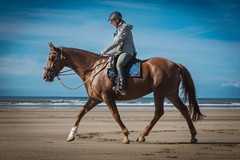 42. Beach Rides
