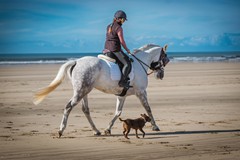 43. Saunton Beach riding