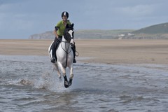 45. Guest riding on  Beach