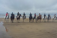 48. Beach riding
