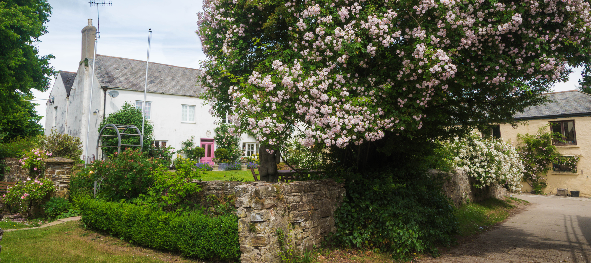 North Devon Bed & Breakfast