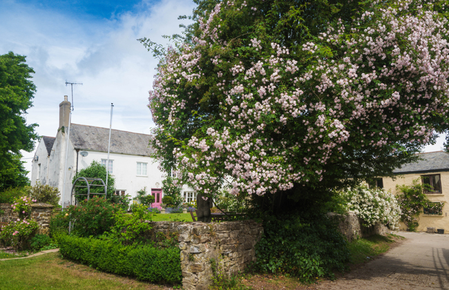 Hollamoor Farm Bed and Breakfast in North Devon