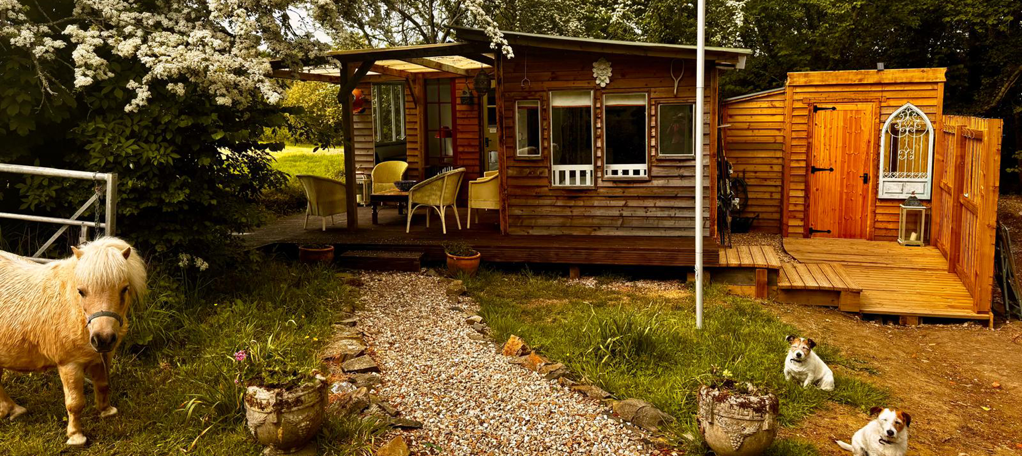 Family cabin in North Devon